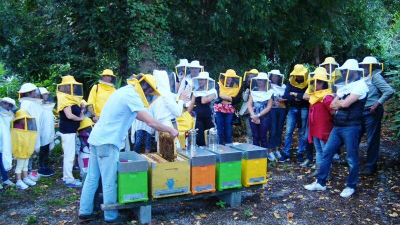 La ‘Festa delle Api’ ritorna a settembre a Ponte Lambro